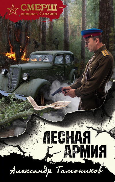 Лесная армия - Александр Тамоников Аудиокниги слушать 🎶 Лучшие аудиокниги бесплатно без регистрации и sms (смс)