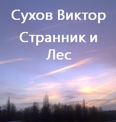Странник и Лес - Сухов Виктор Аудиокниги слушать 🎶 Лучшие аудиокниги бесплатно без регистрации и sms (смс)
