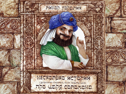 Несколько довольно странных (если задуматься) историй о царе Соломоне - Линор Горалик Аудиокниги слушать 🎶 Лучшие аудиокниги бесплатно без регистрации и sms (смс)