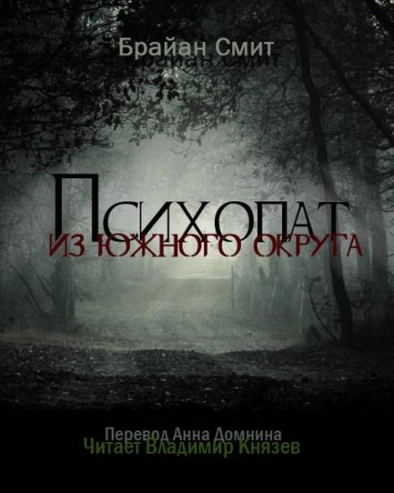 Психопат из южного округа - Брайан Смит Аудиокниги слушать 🎶 Лучшие аудиокниги бесплатно без регистрации и sms (смс)