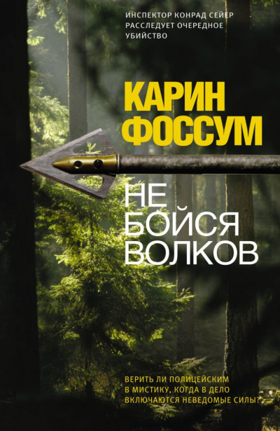 Не бойся волков - Карин Фоссум Аудиокниги слушать 🎶 Лучшие аудиокниги бесплатно без регистрации и sms (смс)