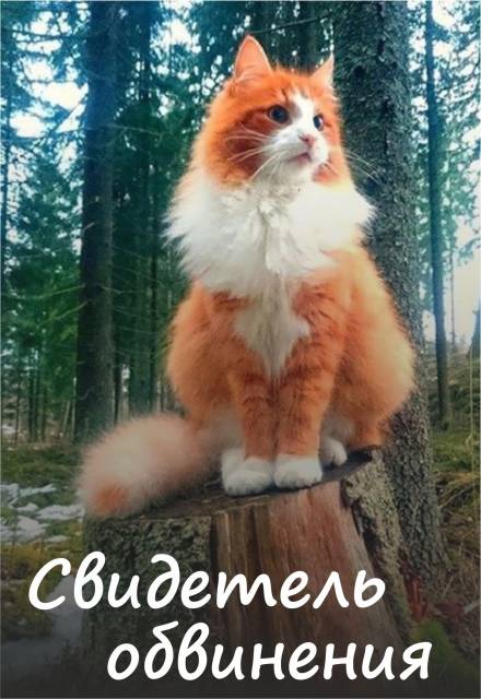Свидетель обвинения - Алена Волгина Аудиокниги слушать 🎶 Лучшие аудиокниги бесплатно без регистрации и sms (смс)