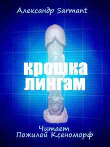 Крошка лингам - Александр Sarmant Аудиокниги слушать 🎶 Лучшие аудиокниги бесплатно без регистрации и sms (смс)