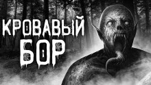 Кровавый бор - Даниил Авдеев Аудиокниги слушать 🎶 Лучшие аудиокниги бесплатно без регистрации и sms (смс)