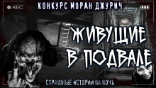 Пацаны - Диана Вьюгина Аудиокниги слушать 🎶 Лучшие аудиокниги бесплатно без регистрации и sms (смс)