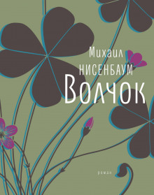 Волчок - Михаил Нисенбаум Аудиокниги слушать 🎶 Лучшие аудиокниги бесплатно без регистрации и sms (смс)