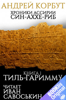 Тиль Гаримму - Андрей Корбут Аудиокниги слушать 🎶 Лучшие аудиокниги бесплатно без регистрации и sms (смс)