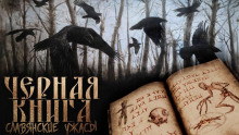 Чёрная книга Дикого леса - Денис Морозов Аудиокниги слушать 🎶 Лучшие аудиокниги бесплатно без регистрации и sms (смс)