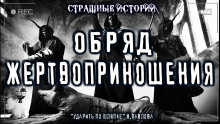 Ударить по шляпке - Наталья Павлова Аудиокниги слушать 🎶 Лучшие аудиокниги бесплатно без регистрации и sms (смс)