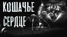 Кошачье сердце - Руслан Темир Аудиокниги слушать 🎶 Лучшие аудиокниги бесплатно без регистрации и sms (смс)