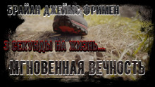 Мгновенная вечность - Брайан Джеймс Фримен Аудиокниги слушать 🎶 Лучшие аудиокниги бесплатно без регистрации и sms (смс)