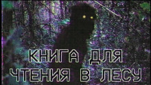 Книга для чтения в лесу - Grey Аудиокниги слушать 🎶 Лучшие аудиокниги бесплатно без регистрации и sms (смс)
