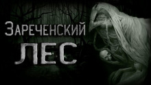 Легенда Зареченского леса - Ирина Тунова Аудиокниги слушать 🎶 Лучшие аудиокниги бесплатно без регистрации и sms (смс)