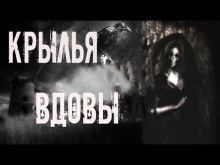 Крылья вдовы - Мария Токарева Аудиокниги слушать 🎶 Лучшие аудиокниги бесплатно без регистрации и sms (смс)