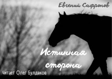 Истинная сторона - Евгений Сафронов Аудиокниги слушать 🎶 Лучшие аудиокниги бесплатно без регистрации и sms (смс)