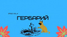 Гербарий - Александр Денисенко Аудиокниги слушать 🎶 Лучшие аудиокниги бесплатно без регистрации и sms (смс)