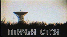 Птичьи стаи - Роман Чёрный Аудиокниги слушать 🎶 Лучшие аудиокниги бесплатно без регистрации и sms (смс)