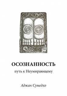 Осознанность путь к Неумирающему - Аджан Сумедхо Аудиокниги слушать 🎶 Лучшие аудиокниги бесплатно без регистрации и sms (смс)