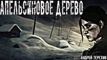 Апельсиновое дерево - Андрей Терехов Аудиокниги слушать 🎶 Лучшие аудиокниги бесплатно без регистрации и sms (смс)