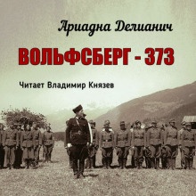Вольфсберг-373 - Ариадна Делианич Аудиокниги слушать 🎶 Лучшие аудиокниги бесплатно без регистрации и sms (смс)