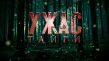 Ужас Тайги - Вячеслав Прахов Аудиокниги слушать 🎶 Лучшие аудиокниги бесплатно без регистрации и sms (смс)