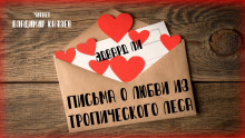 Письма о любви из тропического леса - Эдвард Ли Аудиокниги слушать 🎶 Лучшие аудиокниги бесплатно без регистрации и sms (смс)
