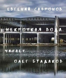 Некроткая вода - Евгений Сафронов Аудиокниги слушать 🎶 Лучшие аудиокниги бесплатно без регистрации и sms (смс)