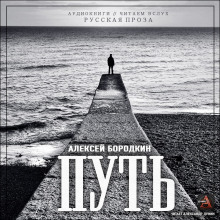 Путь - Алексей Бородкин Аудиокниги слушать 🎶 Лучшие аудиокниги бесплатно без регистрации и sms (смс)