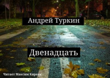 Двенадцать - Андрей Туркин Аудиокниги слушать 🎶 Лучшие аудиокниги бесплатно без регистрации и sms (смс)