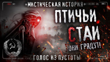Птичьи стаи - Роман Чёрный Аудиокниги слушать 🎶 Лучшие аудиокниги бесплатно без регистрации и sms (смс)