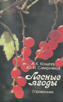 Лесные ягоды - Аркадий Кощеев Аудиокниги слушать 🎶 Лучшие аудиокниги бесплатно без регистрации и sms (смс)