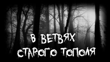В ветвях старого тополя - Владимир Леонтьев Аудиокниги слушать 🎶 Лучшие аудиокниги бесплатно без регистрации и sms (смс)