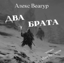 Два брата - Автор неизвестен Аудиокниги слушать 🎶 Лучшие аудиокниги бесплатно без регистрации и sms (смс)