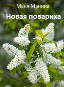 Новая повариха - Маня Манина Аудиокниги слушать 🎶 Лучшие аудиокниги бесплатно без регистрации и sms (смс)