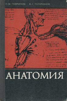 Анатомия - Леопольд Гаврилов Аудиокниги слушать 🎶 Лучшие аудиокниги бесплатно без регистрации и sms (смс)