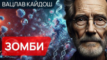 Зомби - Вацлав Кайдош Аудиокниги слушать 🎶 Лучшие аудиокниги бесплатно без регистрации и sms (смс)