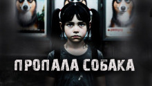 Пропала собака! - Александр Радченко Аудиокниги слушать 🎶 Лучшие аудиокниги бесплатно без регистрации и sms (смс)