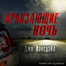 Пронзающие ночь - Джо Р. Лансдейл Аудиокниги слушать 🎶 Лучшие аудиокниги бесплатно без регистрации и sms (смс)