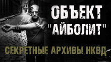 Секретные архивы НКВД. Объект "Айболит" - Максим Никитин Аудиокниги слушать 🎶 Лучшие аудиокниги бесплатно без регистрации и sms (смс)