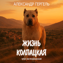 Жизнь колпацкая - Александр Гергель Аудиокниги слушать 🎶 Лучшие аудиокниги бесплатно без регистрации и sms (смс)