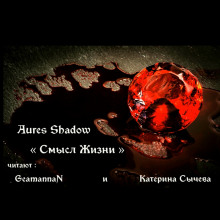 Смысл жизни - Aures Shadow Аудиокниги слушать 🎶 Лучшие аудиокниги бесплатно без регистрации и sms (смс)