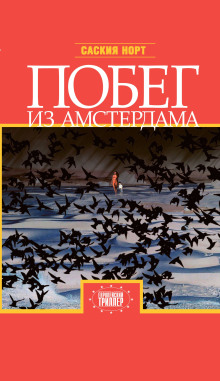 Побег из Амстердама - Саския Норт Аудиокниги слушать 🎶 Лучшие аудиокниги бесплатно без регистрации и sms (смс)