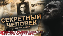 Секретный человек - Лариса Львова Аудиокниги слушать 🎶 Лучшие аудиокниги бесплатно без регистрации и sms (смс)