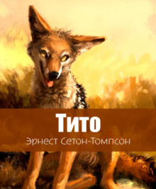 Тито - дочь степей - Эрнест Сетон-Томпсон Аудиокниги слушать 🎶 Лучшие аудиокниги бесплатно без регистрации и sms (смс)
