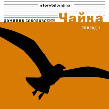 Чайка - Доминик Соколовский Аудиокниги слушать 🎶 Лучшие аудиокниги бесплатно без регистрации и sms (смс)