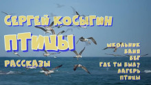 Сборник рассказов - Сергей Косыгин Аудиокниги слушать 🎶 Лучшие аудиокниги бесплатно без регистрации и sms (смс)