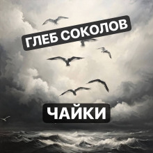 Чайки - Глеб Соколов Аудиокниги слушать 🎶 Лучшие аудиокниги бесплатно без регистрации и sms (смс)