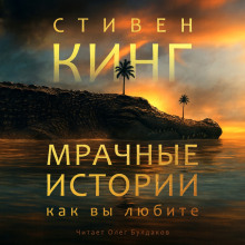 Мрачные истории, как вы любите - Стивен Кинг Аудиокниги слушать 🎶 Лучшие аудиокниги бесплатно без регистрации и sms (смс)