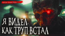 Общество чистых тарелок - Иван Миронов Аудиокниги слушать 🎶 Лучшие аудиокниги бесплатно без регистрации и sms (смс)