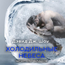Холодильные небеса - Дэвид Дж. Шоу Аудиокниги слушать 🎶 Лучшие аудиокниги бесплатно без регистрации и sms (смс)